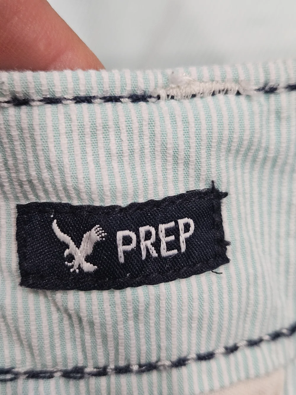 American Eagle Outfitters Mint Green Flat Front Men's Shorts